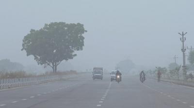 Punjab Weather: 12 जिलों में घने कोहरे का अलर्ट जारी, बठिंडा सबसे ठंडा शहर रहा