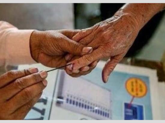 पंजाब : जिला परिषद और पंचायत समिति के नतीजों में AAP की बड़ी बढ़त, पटियाला में शानदार जीत