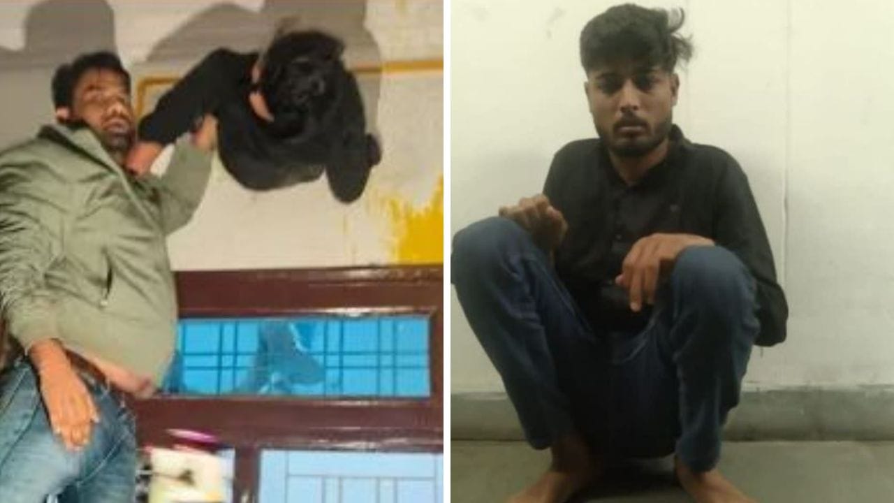 तू किया चोर बनेगा रे बाबा ! जब एग्जॉस्ट फैन के छेद में फंसा मिला चोर, हैरान करेगा मामला