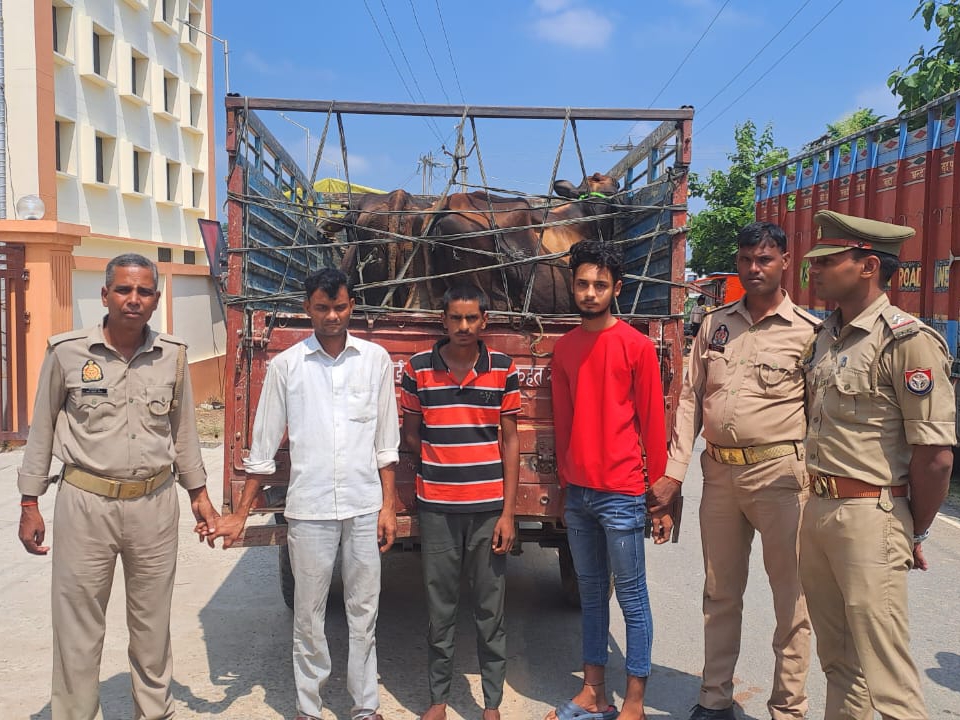 देवरिया में पुलिस मुठभेड़ में तीन पशु तस्कर गिरफ्तार