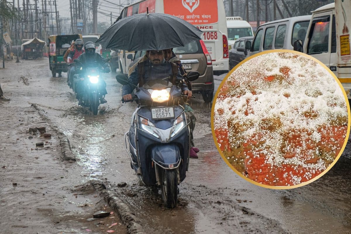 राजस्थान के कई हिस्सों में आंधी-बारिश व ओलावृष्टि होने की संभावना