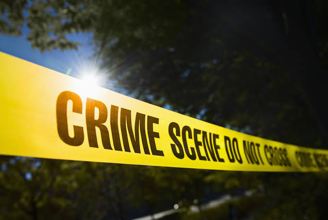 लुधियाना में गुल्ली-डंडा विवाद ने लिया खूनी रूप: बुजुर्ग को लगी गुल्ली, बीच-बचाव करने आए बेटे और बहू पर ईंटों से हमला