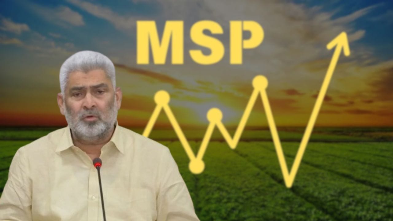 पंजाब: कल से शुरू होगी गेहूं की सरकारी खरीद; MSP में ₹160 का इजाफा, मंडियों में पुख्ता इंतजाम