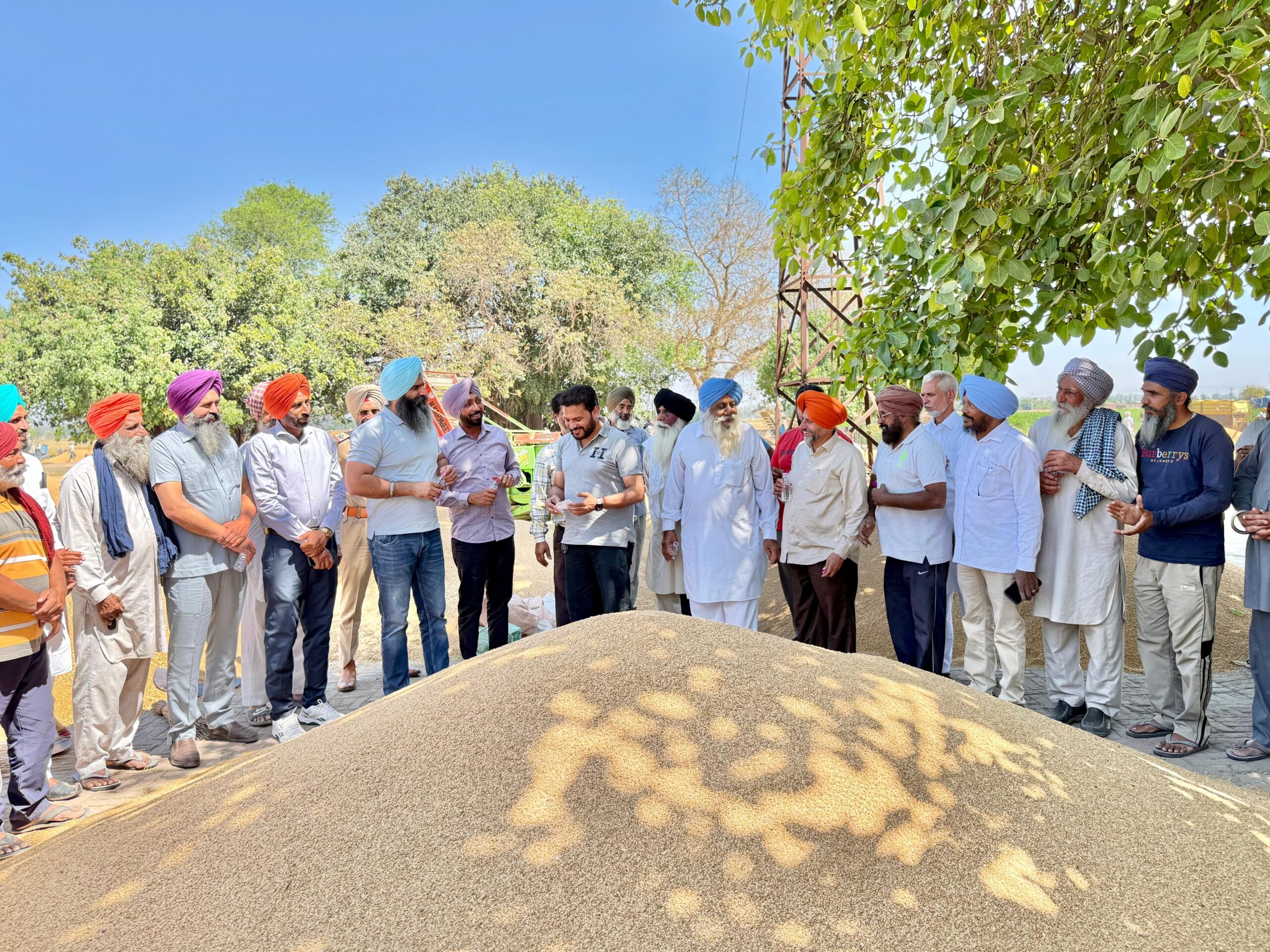 पंग्रेन के अध्यक्ष डॉ. तेजपाल सिंह गिल ने चाचराडी और हंस कलां की अनाज मंडियों का दौरा किया