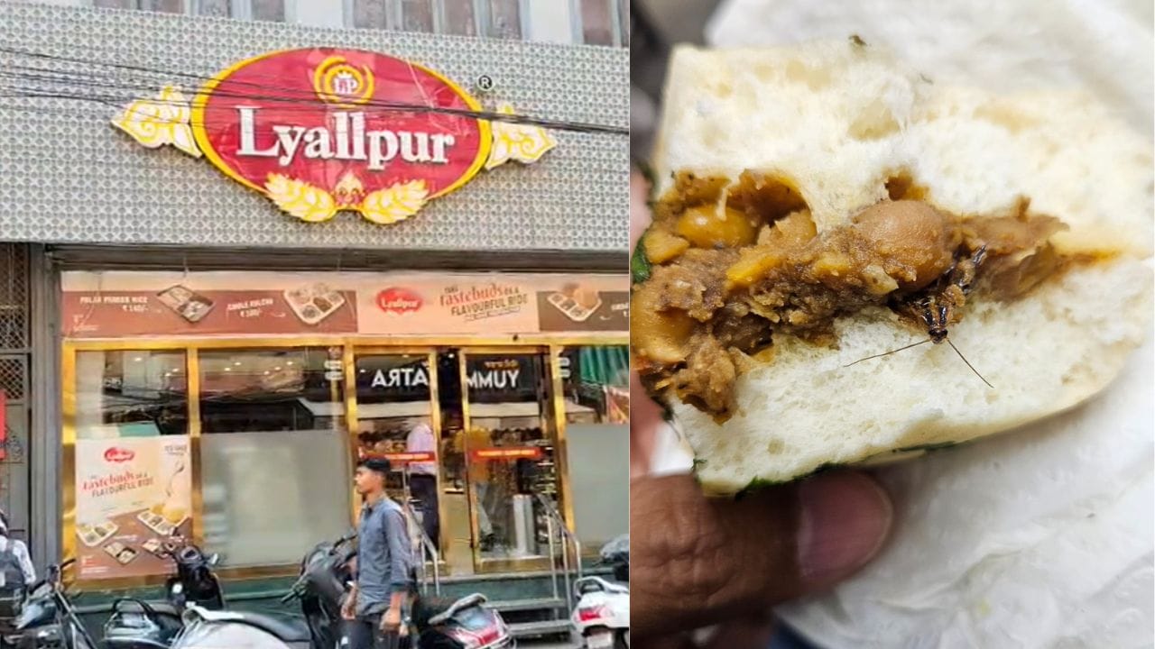लुधियाना की मशहूर मिठाई की दुकान के कुल्चे से निकला कोकरोच; ग्राहक ने वीडियो बनाकर खोली पोल, प्रशासन से की जांच की मांग