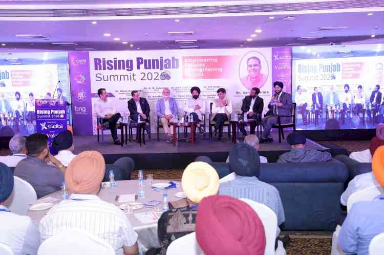 उपायुक्त ने उत्कृष्ट प्रदर्शन के लिए लीड डिस्ट्रिक्ट मैनेजर और बैंक के डीसीओ को सम्मानित किया, कृषि अवसंरचना निधि के तहत लुधियाना ने भारत में शीर्ष स्थान प्राप्त किया