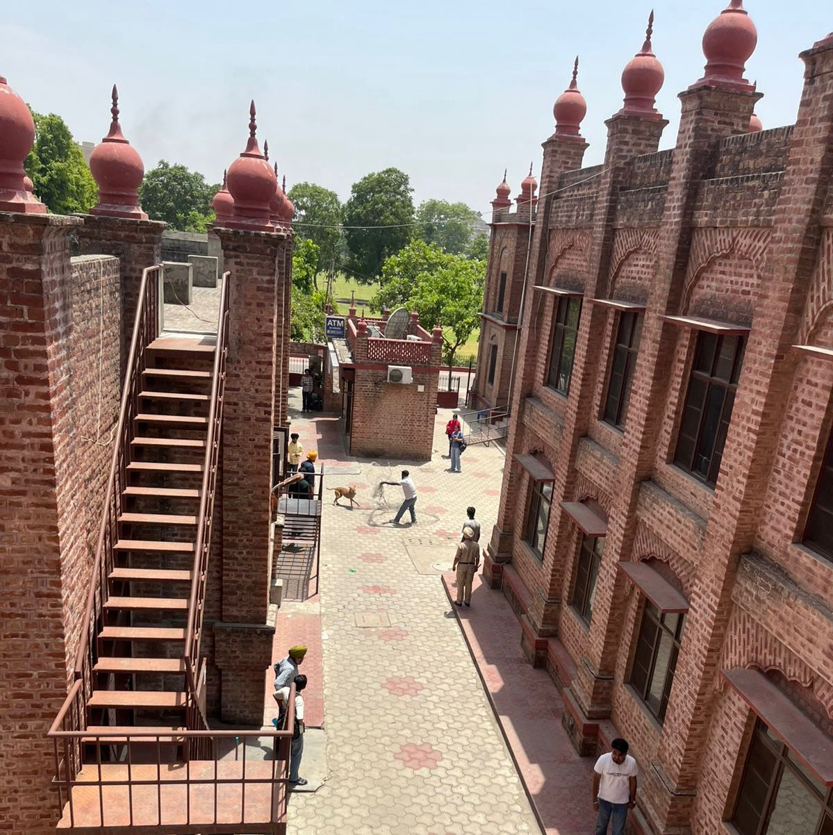 खालसा कॉलेज में कुत्तों के साथ कथित क्रूरता मामले पर विवाद गहराया, एनिमल एक्टिविस्टों ने किया प्रदर्शन