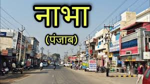 नाभा के वार्ड नंबर 13 से उम्मीदवार ऊषा मगो के समर्थन में किया गया चुनाव प्रचार स्थानीय लोगों के भारी उत्साह और समर्थन के कारण एक बड़े जश्न में बदल गया।