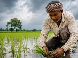 कम बारिश और अल नीनो की आशंका को देखते हुए राज्यों को तैयारी तेज करने के निर्देश: कृषि मंत्री चौहान