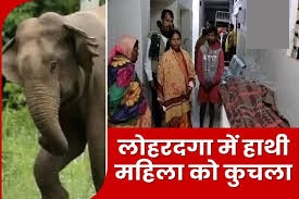 झारखंड के लोहरदगा में दर्दनाक हादसा, जंगली हाथी के हमले में महिला की मौत