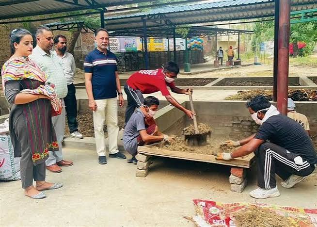 अमृतसर : कचरे से बन रही ऑर्गेनिक खाद, नगर निगम ने 5 जगहों पर लगाए कैंप; लोगों को मुफ्त में दी जा रही खाद