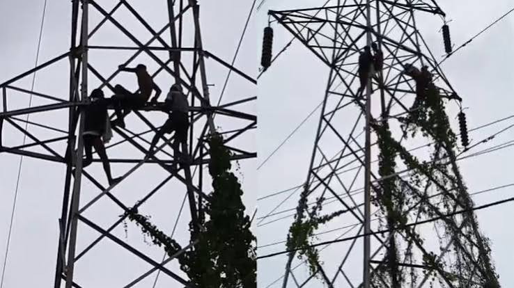 लुधियाना में बिजली के टावर पर चढ़ा युवक, हाईटेंशन तारों से करंट लगने पर झुलसा