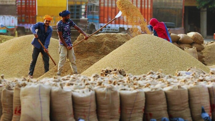धान खरीद को लेकर SKM का ऐलान, 19 सितंबर को पूरे पंजाब में जिला मुख्यालयों पर प्रदर्शन