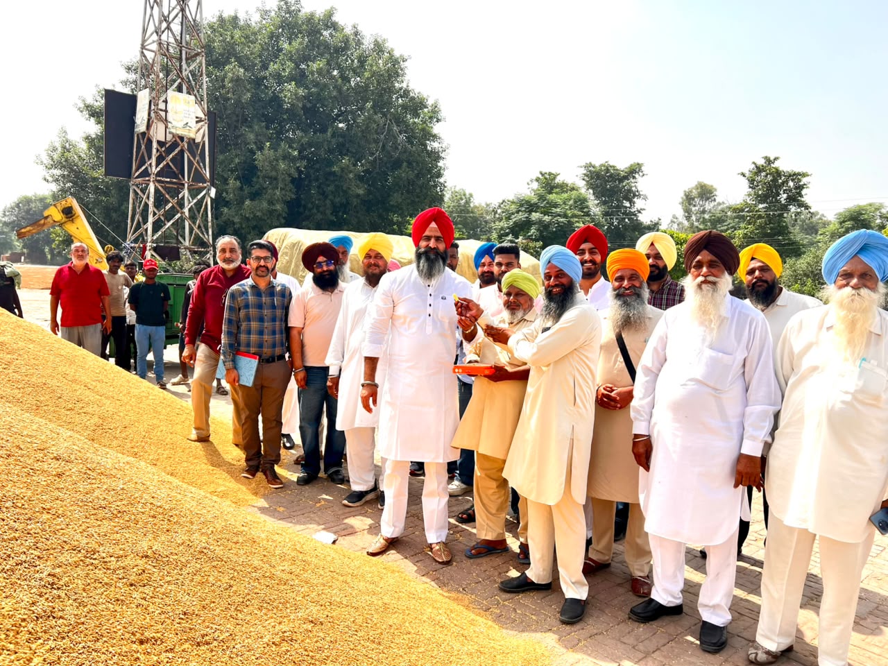 लुधियाना : धान की सरकारी खरीद शुरू, पंग्रेन चेयरमैन डॉ. तेजपाल सिंह गिल ने किया उद्घाटन