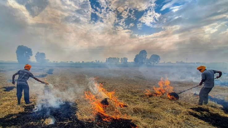 Punjab Stubble Burning: पराली जलाने के मामलों में 2022 के मुकाबले करीब 90% गिरावट, मशीनों पर सब्सिडी से बढ़ा विकल्प