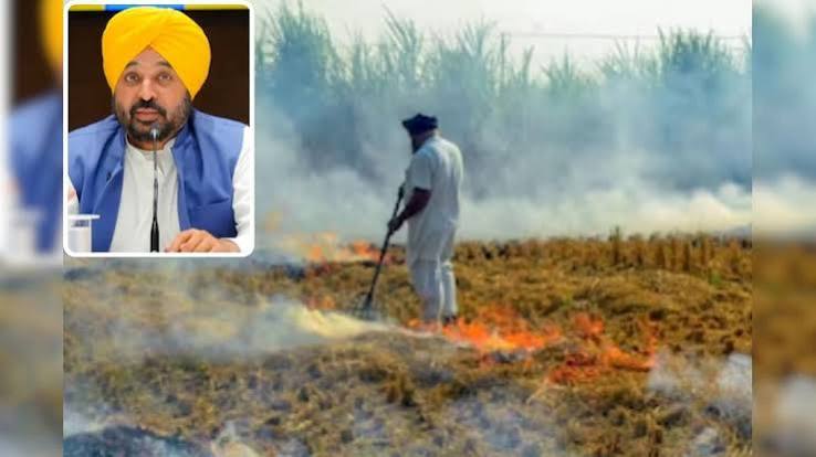 Punjab Stubble Burning: पंजाब में पराली जलाने की घटनाओं में करीब 90% कमी, जानिए भगवंत मान सरकार की रणनीति