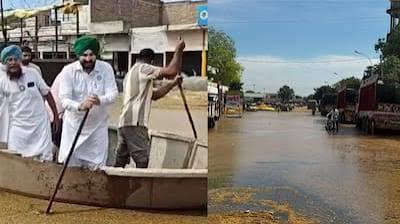 फाजिल्का मंडी में भारी बारिश से धान बर्बाद, किसानों ने पंजाब सरकार से मांगा मुआवजा