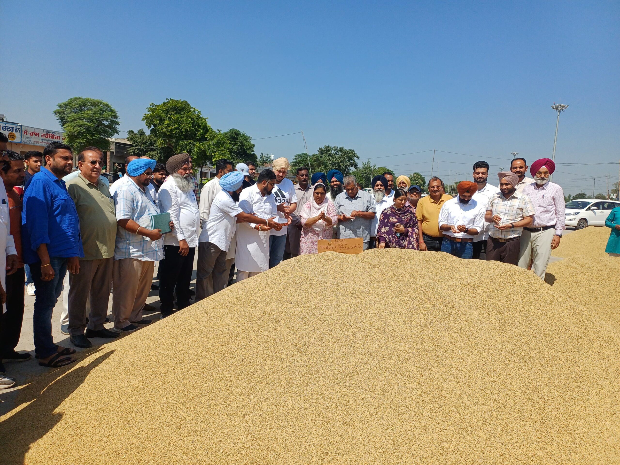 समराला अनाज मंडी में धान खरीद की औपचारिक शुरुआत, पहली बोली ₹2467 प्रति क्विंटल